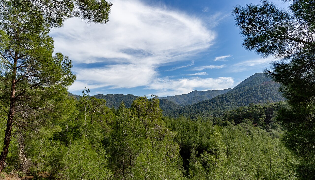 Forested ridges of the Troodos Mountains in Cyprus under a wide sky