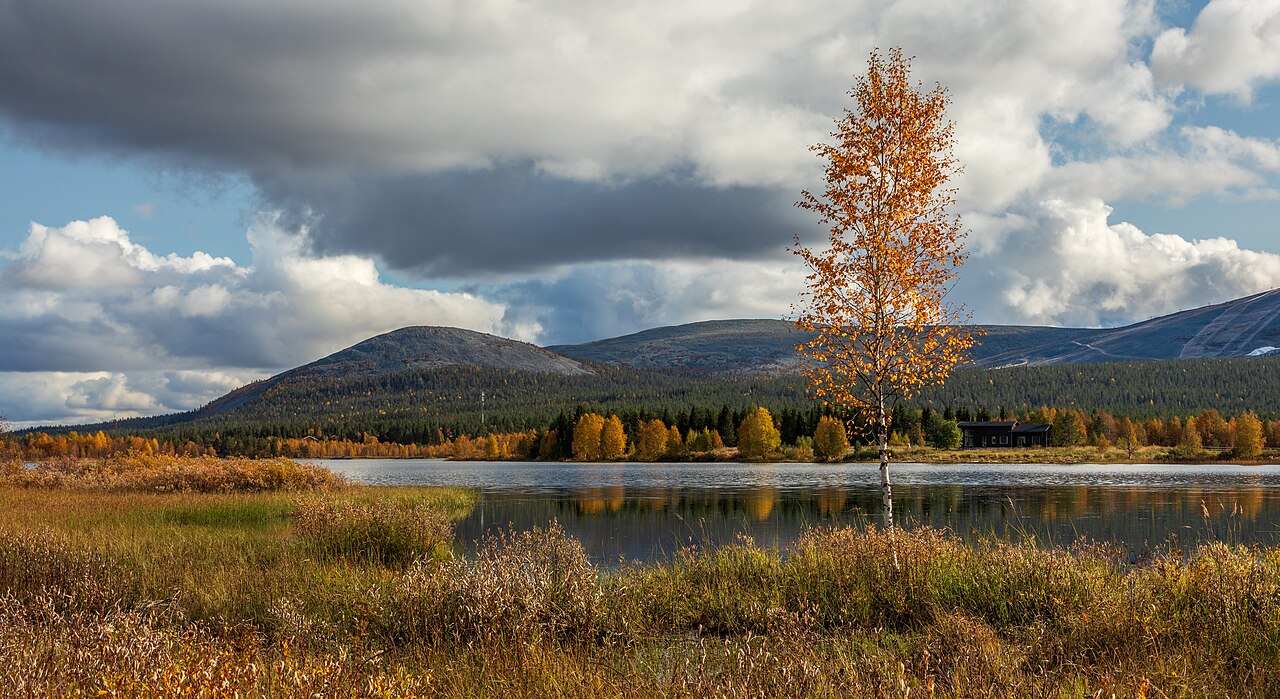 Autumn colors on the shore of Lake Äkäslompolo in Finnish Lapland, with fells behind