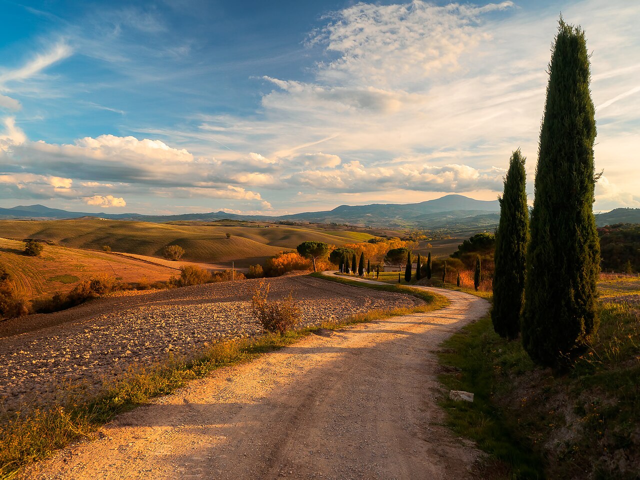 Rolling autumn fields and cypress trees in the Val d'Orcia, Tuscany