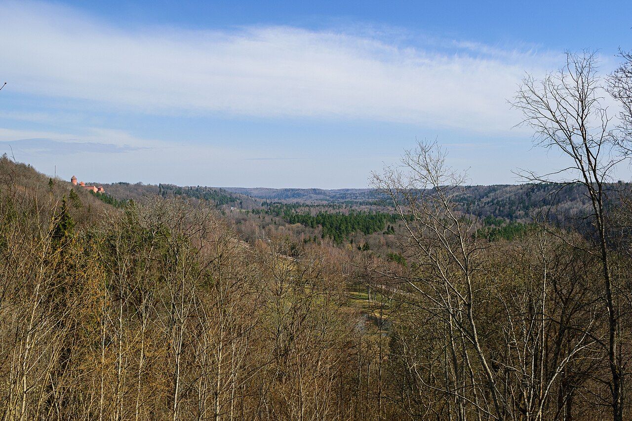 The wooded Gauja river valley seen from a viewpoint near Sigulda in Latvia