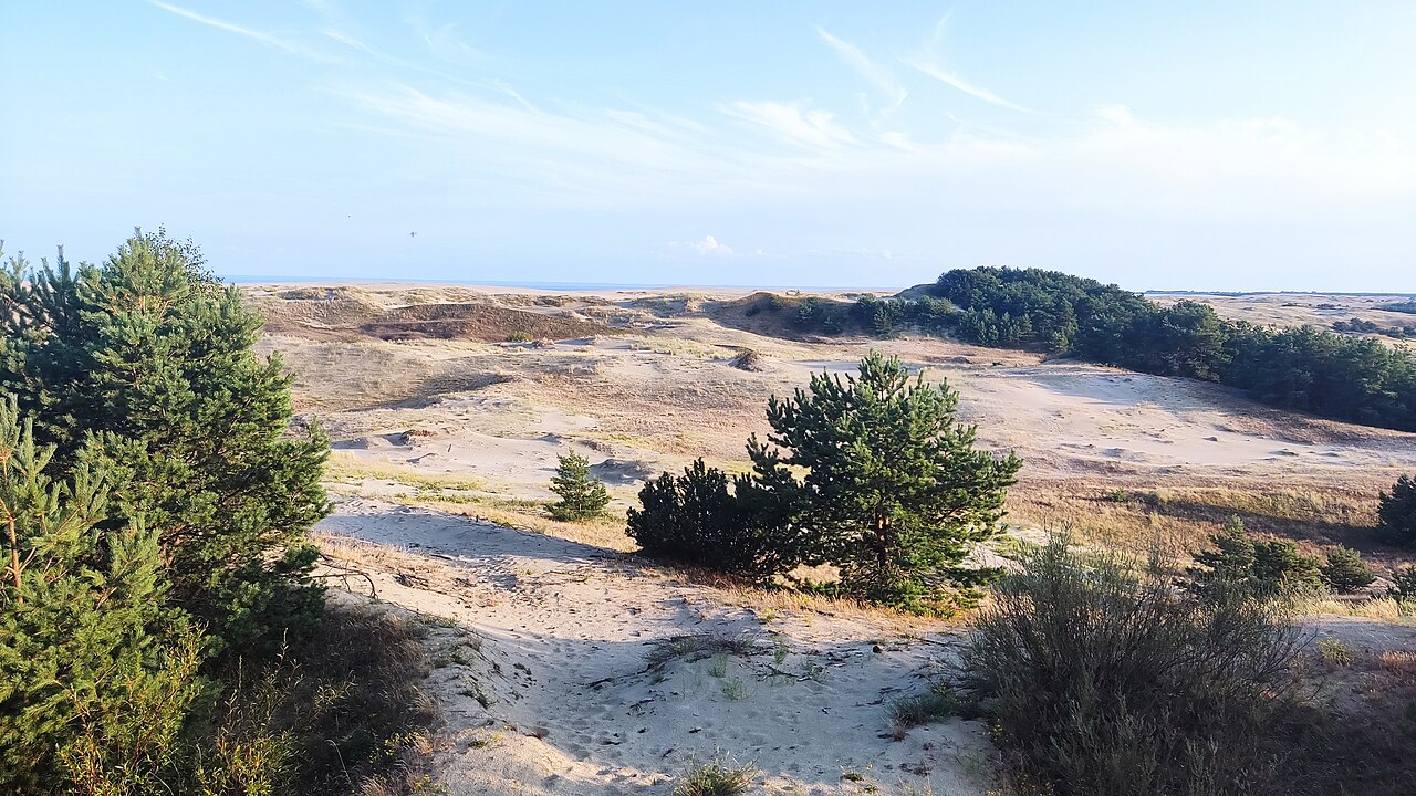 Pale sand dunes with pines and the Curonian Lagoon beyond on the Curonian Spit