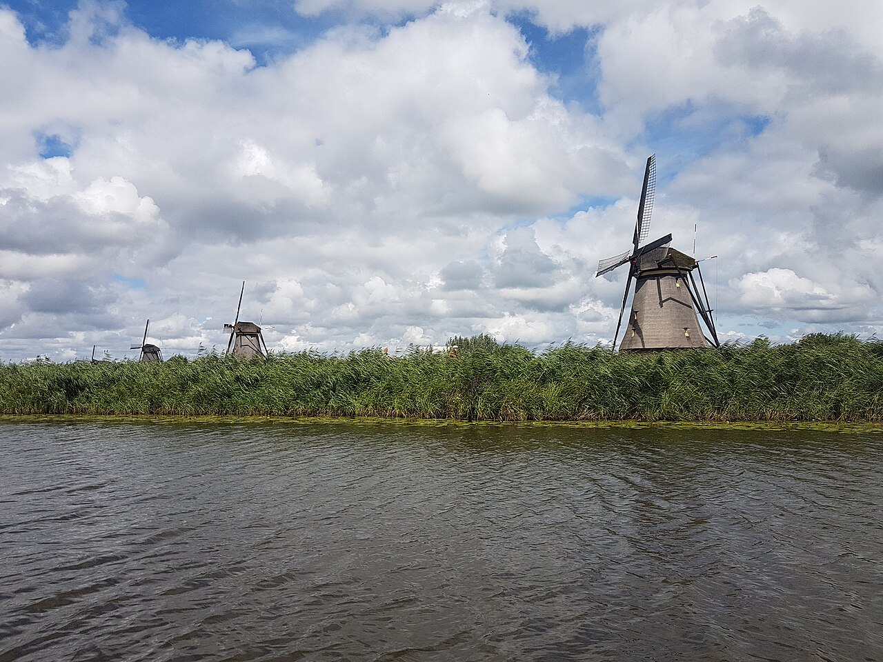 A row of windmills beside a canal and reeds at Kinderdijk
