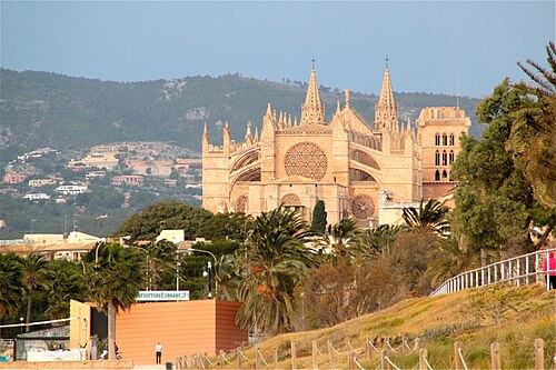 The cathedral of Palma in warm evening light, seen over palm trees from the Can Pere Antoni seafront, with wooded hills behind